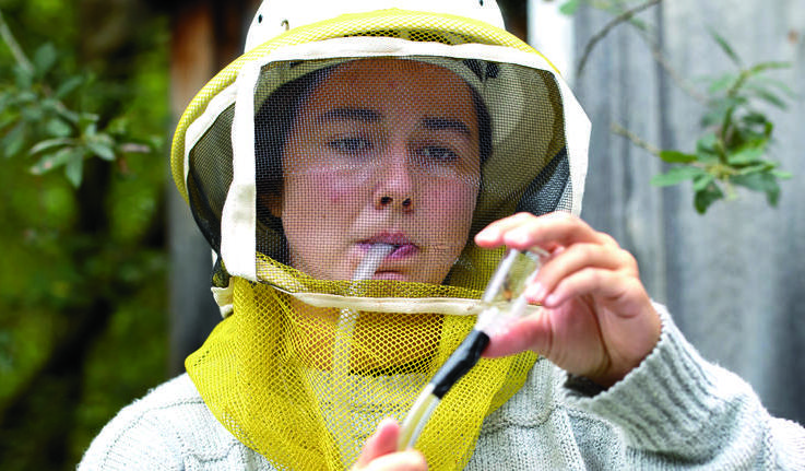Marina Andreadis ' 24从蜂巢中取出一只蜜蜂. 管里的屏幕可以防止她吞下一个.