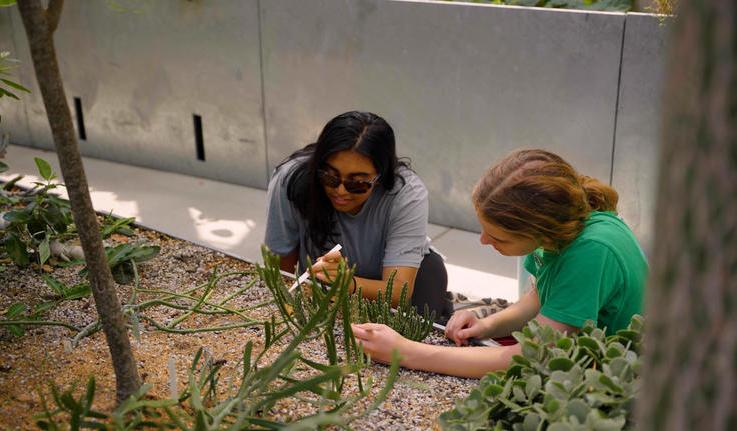 两名学生在《全球植物志》研究植物.